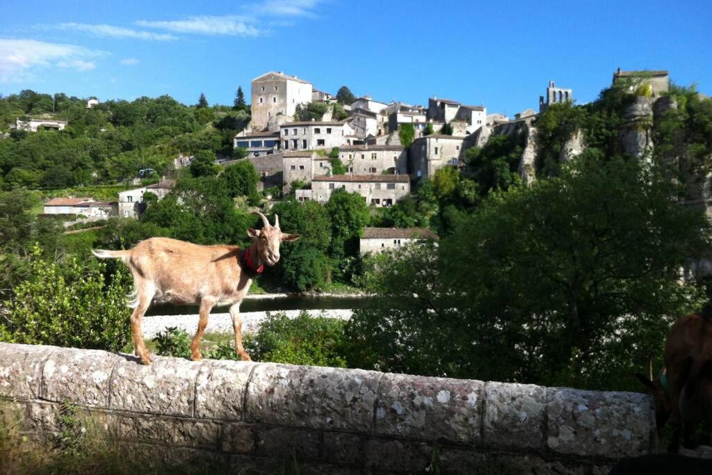Les Oliviers Gite Grand Confort Au Calme Classe 3 Etoiles Balazuc Exteriér fotografie